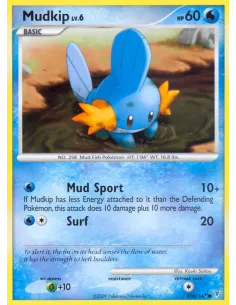 Mudkip - Reverse Holo