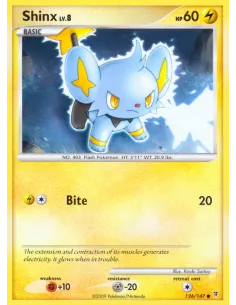 Shinx - Reverse Holo