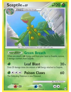 Sceptile - Reverse Holo