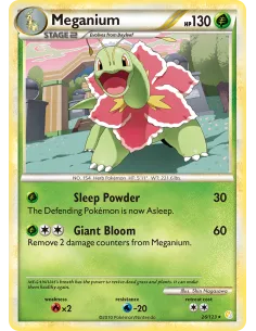 Meganium - Reverse Holo