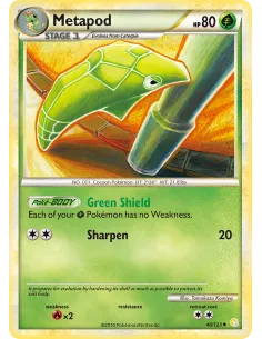 Metapod - Reverse Holo