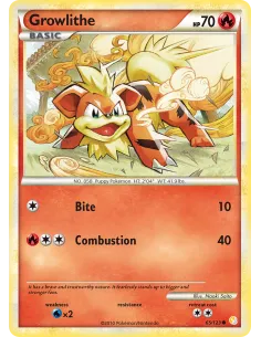 Growlithe - Reverse Holo