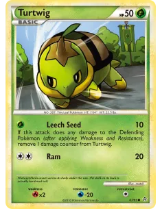 Turtwig - Reverse Holo