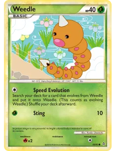 Weedle - Reverse Holo