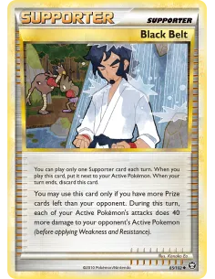 Black Belt - Reverse Holo