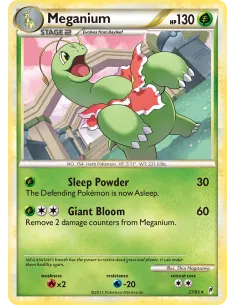 Meganium - Reverse Holo