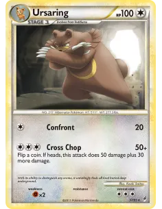 Ursaring - Reverse Holo