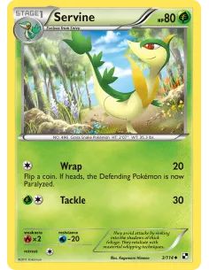 Servine - Reverse Holo