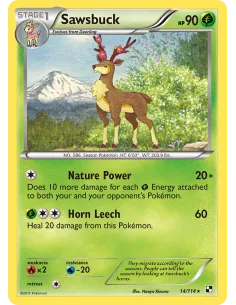 Sawsbuck - Reverse Holo