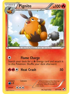 Pignite - Reverse Holo