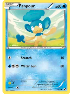 Panpour - Reverse Holo