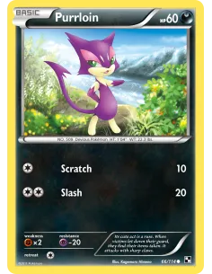 Purrloin - Reverse Holo