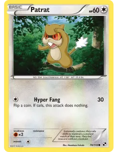 Patrat - Reverse Holo