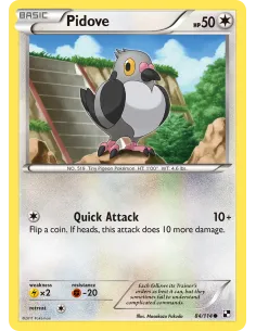 Pidove - Reverse Holo