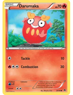 Darumaka - Reverse Holo