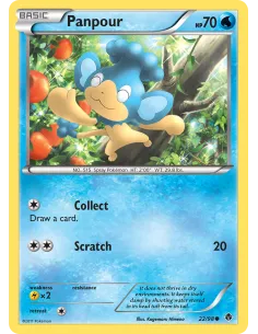 Panpour - Reverse Holo