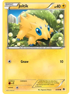 Joltik - Reverse Holo