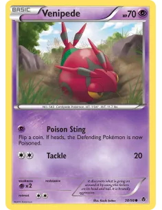 Venipede - Reverse Holo