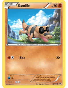 Sandile - Reverse Holo