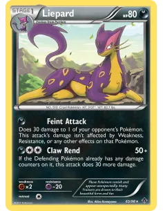 Liepard - Reverse Holo