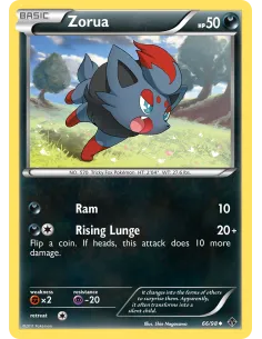 Zorua - Reverse Holo