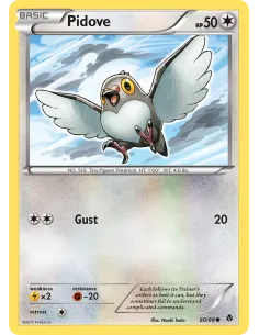 Pidove - Reverse Holo