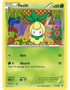 Petilil - Reverse Holo