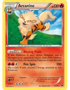 Arcanine - Reverse Holo