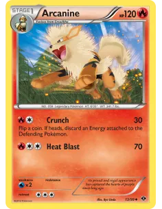 Arcanine - Reverse Holo