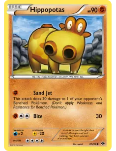 Hippopotas - Reverse Holo