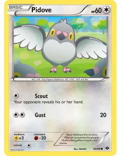 Pidove - Reverse Holo