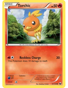Torchic - Reverse Holo
