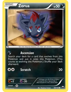 Zorua - Reverse Holo