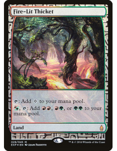 Fire-Lit Thicket - Foil