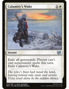 Calamity's Wake - Foil