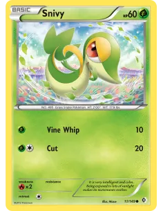 Snivy - Reverse Holo