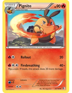 Pignite - Reverse Holo