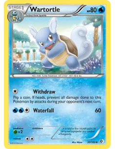 Wartortle - Reverse Holo