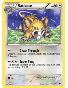 Raticate - Reverse Holo