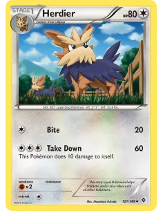 Herdier - Reverse Holo