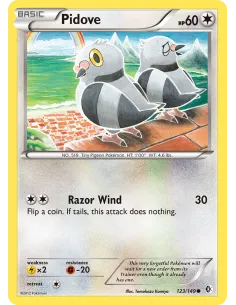 Pidove - Reverse Holo
