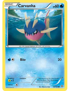 Carvanha - Reverse Holo