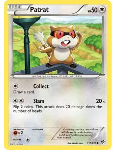 Patrat - Reverse Holo