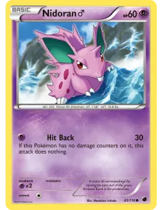 Nidoran ♂ - Reverse Holo