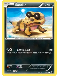 Sandile - Reverse Holo
