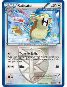 Raticate - Reverse Holo