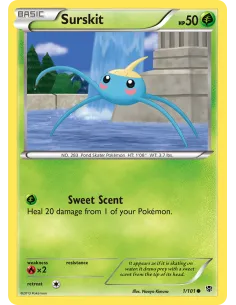 Surskit - Reverse Holo