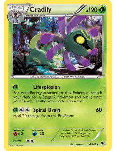 Cradily - Reverse Holo