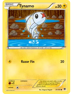 Tynamo - Reverse Holo