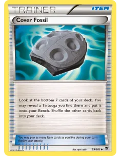 Cover Fossil - Reverse Holo
